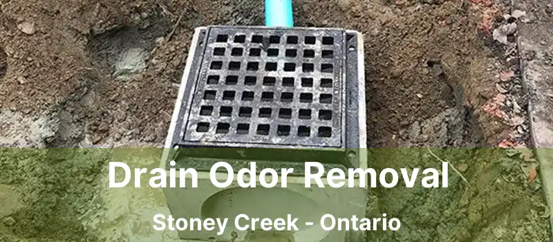  Drain Odor Removal Stoney Creek - Ontario